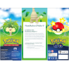 Coffret Pokémon GO - Noadkoko d'Alola V